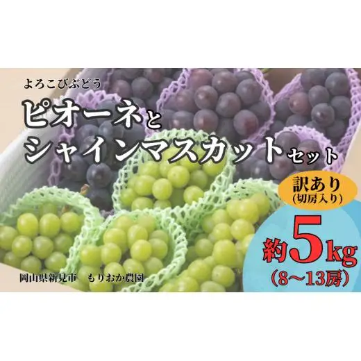 もりおか農園のよろこびぶどう ピオーネとシャインマスカットの詰め合わせ 約5kg 8～13房(切房込み) 訳あり【先行予約 2026年10月上旬から順次発送】