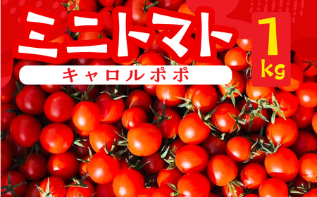 先行予約（2026年8月上旬頃から順次発送）ミニトマト（キャロルポポ） 1kg 【27-9】