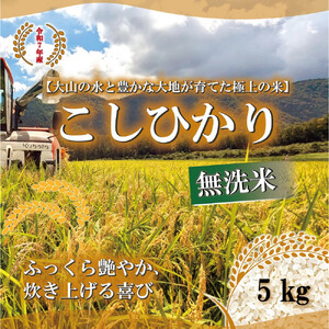 令和7年 鳥取県産 山崎農園こしひかり無洗米5kg