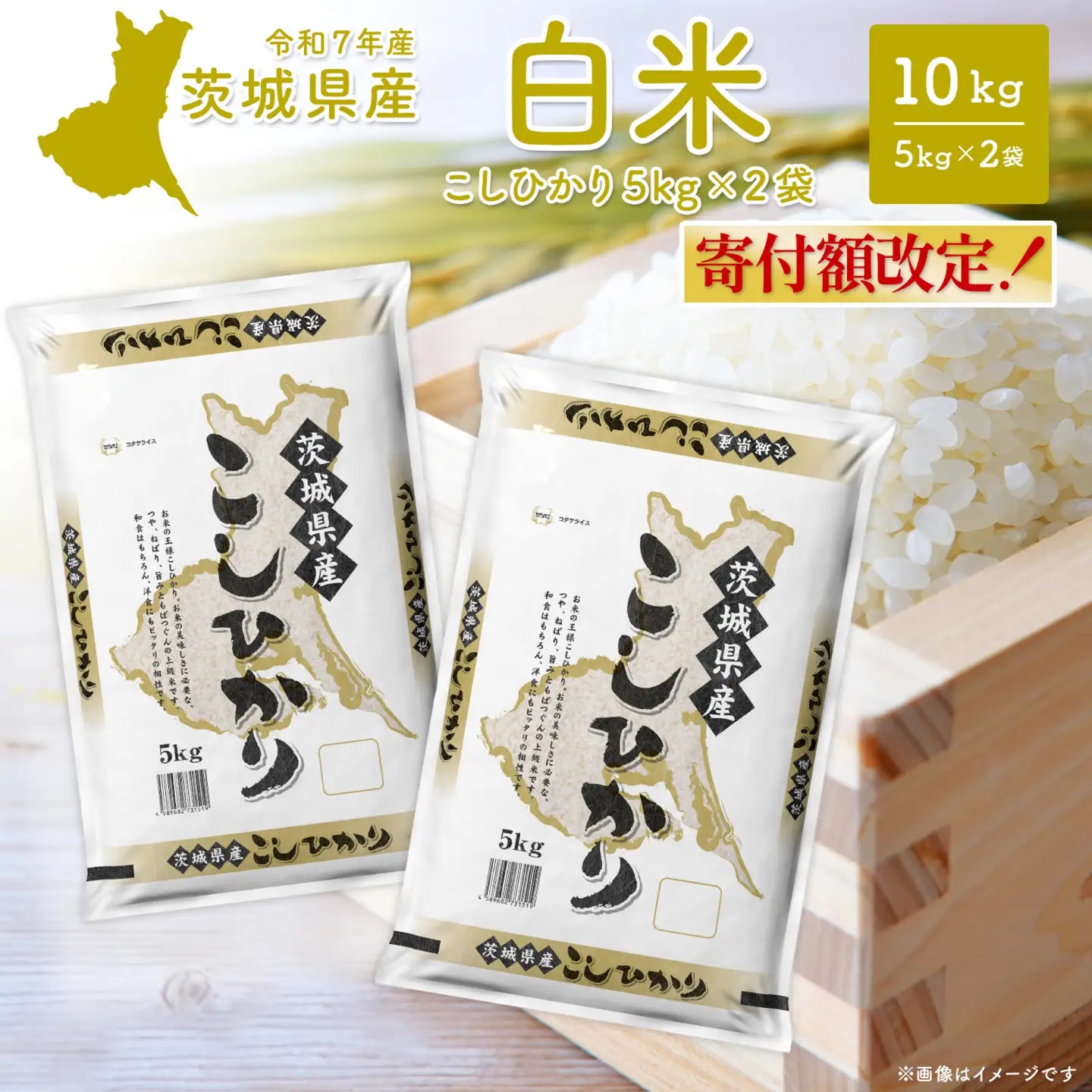 白米 こしひかり 10kg 6月内発送 令和7年産 茨城県産 米 K2654