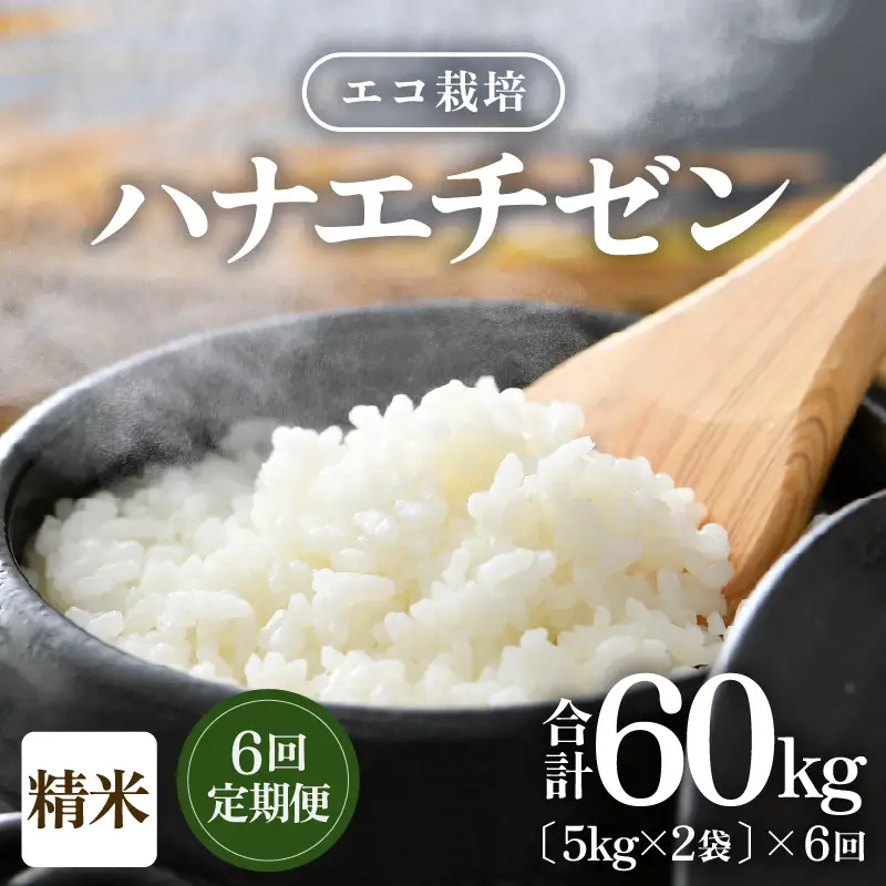 【先行予約】【令和8年産 新米】 定期便≪6ヶ月連続お届け≫エコ栽培ハナエチゼン 精米 10kg×6回（計60kg） ／ 鮮度抜群 福井県産 はなえちぜん ご飯 新鮮 白米 ※2026年9月上旬以降順次発送予定 [aw063-k008]