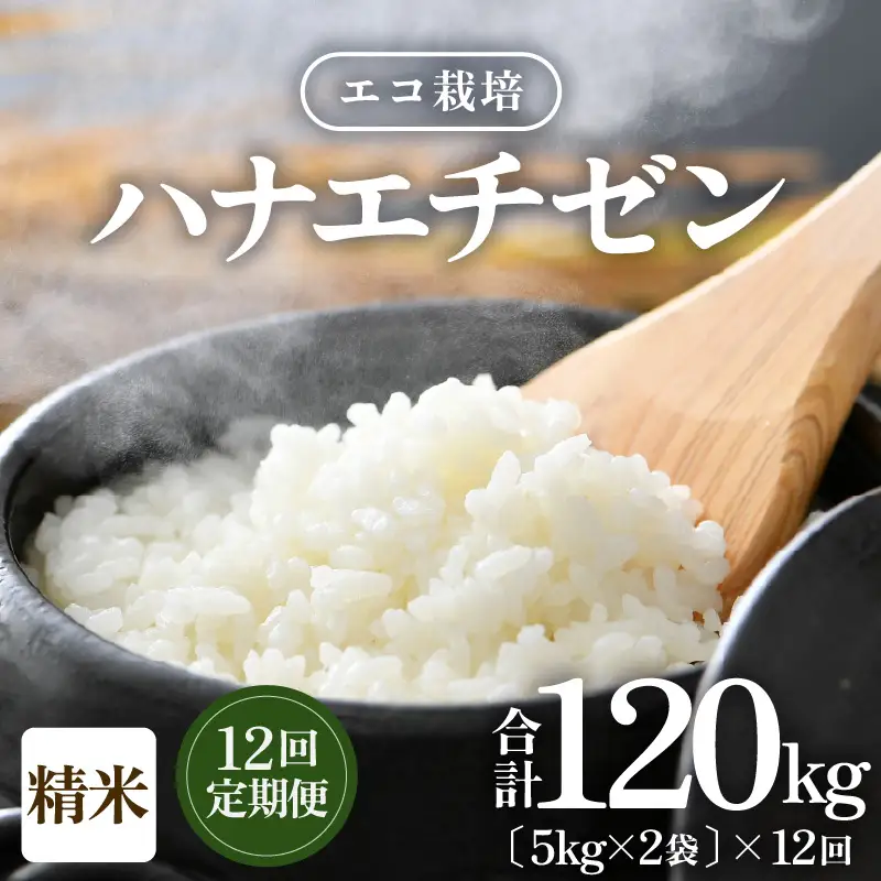 【先行予約】【令和8年産 新米】 定期便≪12ヶ月連続お届け≫エコ栽培ハナエチゼン 精米 10kg×12回（計120kg） ／ 鮮度抜群 福井県産 はなえちぜん ご飯 新鮮 白米 ※2026年9月上旬以降順次発送予定 [aw063-o009]