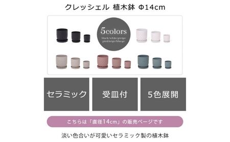 植木鉢 Φ14 crescere クレッシェル 選べるカラー セラミック フラワーポット プランター 鉢 受け皿 サボテン ミニ観葉植物 おしゃれ くすみカラー ガーデニング用品 ガーデニング 園芸 インテリア 兵庫 兵庫県 小野市 グレージュ