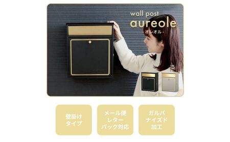 壁掛けポスト aureole(オレオル) 選べるカラー 壁掛け ポスト 壁付けポスト 郵便受け 郵便ポスト ポスト郵便受け メールボックス 鍵付き 大容量 A4 レターパック 家庭用 玄関 一軒家 DIY おしゃれ エクステリア インテリア 雑貨 兵庫 兵庫県 小野市 グレージュ