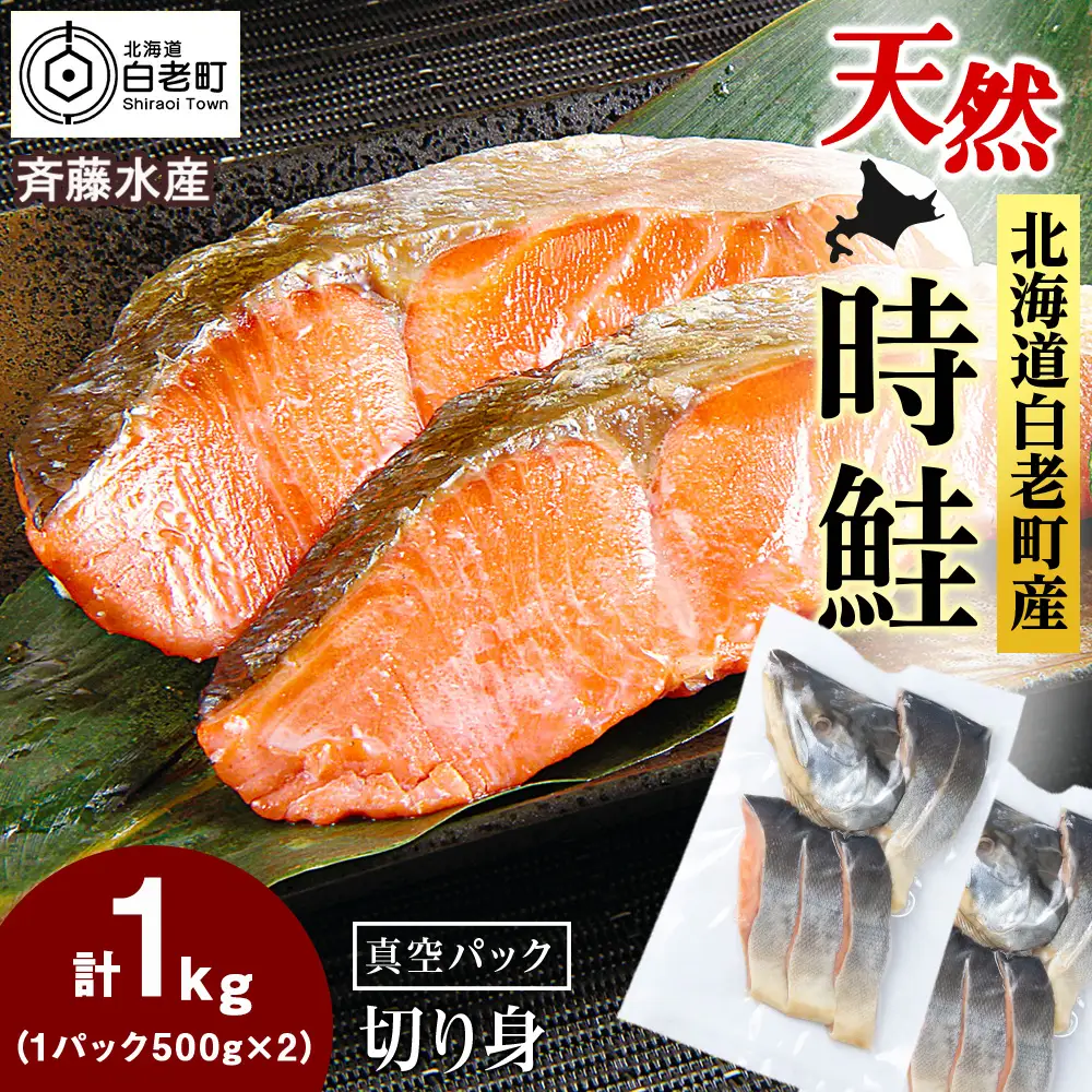 白老町産 時鮭 トキシラズ 500g×2(計1kg) 真空パック〈斉藤水産〉