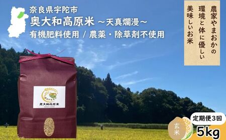 【定期便3回】天真爛漫 奥大和高原米  ＜令和7年産 玄米 5kg＞ ／ ふるさと納税 無農薬 米 お米 こめ コメ 国産 新米 玄米 一等米 農家やまおか 有機肥料使用 農薬不使用 除草剤不使用 奈良県 宇陀市