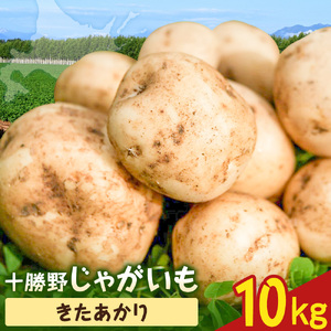 【2026年秋出荷】先行予約 十勝野じゃがいも きたあかり 10kg 按田農場《2026年10月中旬-11月末頃出荷》北海道 豊頃町 十勝野 じゃがいも 農家直送 数量限定