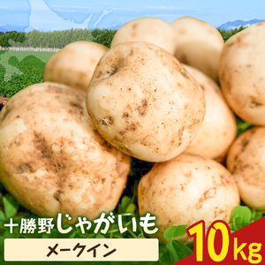 【先行予約】北海道 十勝野 じゃがいも メークイン 10kg 芋 いも