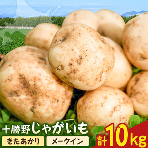 【先行予約】北海道 十勝野 じゃがいも 詰め合わせセット 10kg きたあかり メークイン 芋 いも