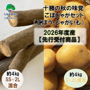 【先行予約】北海道 十勝 秋の味覚野菜詰め合わせ（ごぼじゃがセット）【2026年秋出荷】