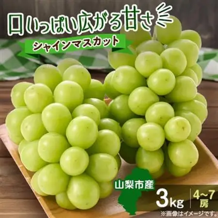 【2026年発送】やみつきシャインマスカット 3kg(4～7房)【配送不可地域：離島】【1689782】