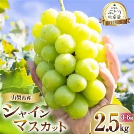 【2026年発送】山梨県山梨市産 朝採れ シャインマスカット 2.5kg (3～6房)【配送不可地域：離島・沖縄県】【1691272】
