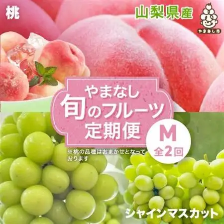 【発送月固定定期便】やまなし旬のフルーツ定期便(桃・シャインマスカット)【M】全2回【配送不可地域：離島】【4077909】