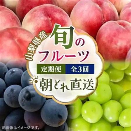 【発送月固定定期便】フルーツ定期便 桃2kg 巨峰1kg シャイン1kg全3回【配送不可地域：離島・沖縄県】【4077987】