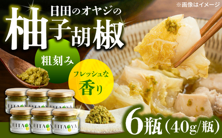 HITAOYA 日田のオヤジの柚子胡椒 (40g×6瓶) 柚子胡椒[ARGG004]