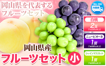 岡山白桃 2玉 & ピオーネ 380g & シャインマスカット 380g 詰合せ 【配送不可地域あり】
