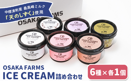 OSAKA FARMS ICE CREAM 詰め合わせ6個入りセット（ミルク・チョコ・イチゴ・抹茶・チョコチップ・ラムレーズン）各1個【5101301】