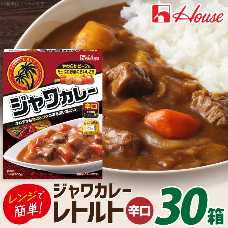 ハウス レトルトジャワカレー 辛口 200g 30個 [翔栄通商 愛知県 江南市 ko23btu570093]