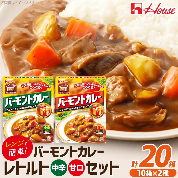 バーモントカレー 甘口＆中辛 各10個 [翔栄通商 愛知県 江南市 ko23btu570104]