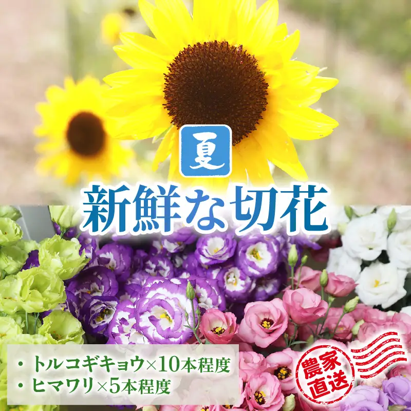 【先行予約】花農家直送 新鮮な切花【夏】 / 生花 お花 旬の花束 豊かな生活 花のある生活 15本程度 2種 季節 花 ※2026年8月上旬以降発送予定 [aw099-a002]