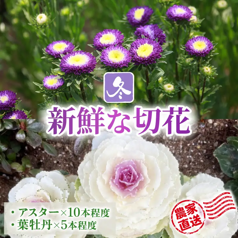 【先行予約】花農家直送 新鮮な切花【冬】 / 生花 お花 旬の花束 豊かな生活 花のある生活 15本程度 2種 季節 花 ※2026年12月下旬以降発送予定 [aw099-a004]