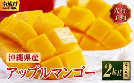 (先行受付)【2026年発送】アップルマンゴー 南城市 約2kg (4～5玉)