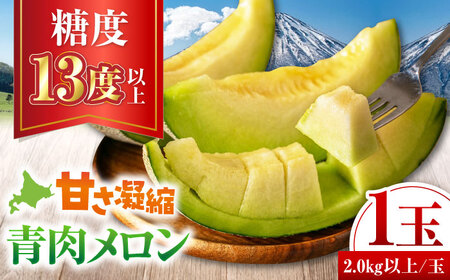 【先行予約】青肉メロン 大玉1玉 [AJAH029] メロン