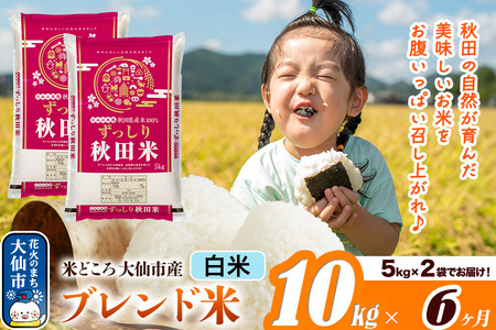 米《定期便6ヶ月》米どころ 秋田県大仙市産 ブレンド米【白米】10kg（5kg×2袋）