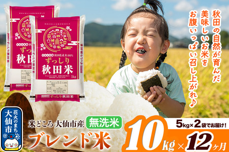 米《定期便12ヶ月》米どころ 秋田県大仙市産 ブレンド米【無洗米】10kg（5kg×2袋）