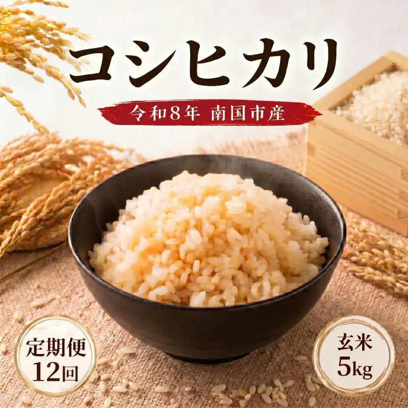 【先行予約】玄米 5㎏ コシヒカリ 令和8年度 玄米 12回定期便