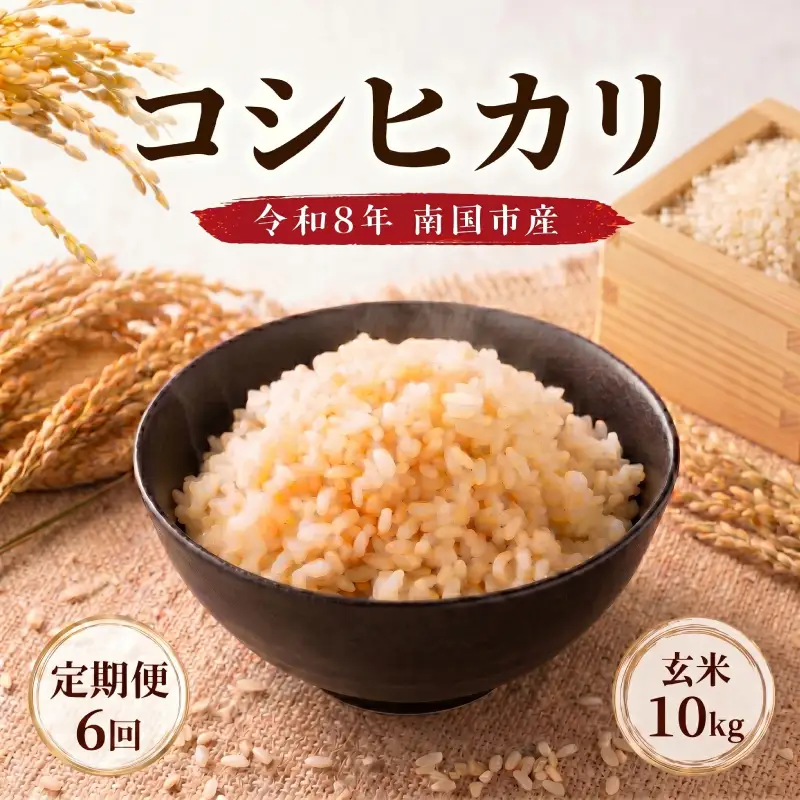 【先行予約】玄米 10㎏ コシヒカリ 令和8年度 玄米 6回定期便