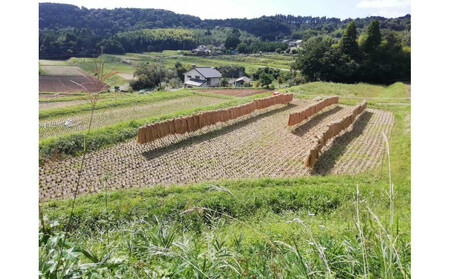 【無農薬・化学肥料不使用】大地の恵みをたっぷり受けた うるち米　ヒノヒカリ（玄米）5kg