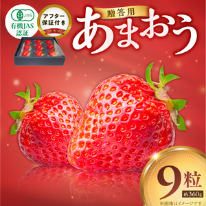 贈答用有機あまおうギフト9粒（約360g） _ 贈答用 有機 あまおう ギフト用 9粒 約 360g オーガニック いちご ストロベリー 特別栽培 認証 アフター保証付き 安心 安全 上品な甘さ 艶 ジューシー 果物 果汁 フルーツ スイーツ デザート 冷蔵 贈り物 お取り寄せ 福岡県 久留米市 送料無料  〔Fi079〕