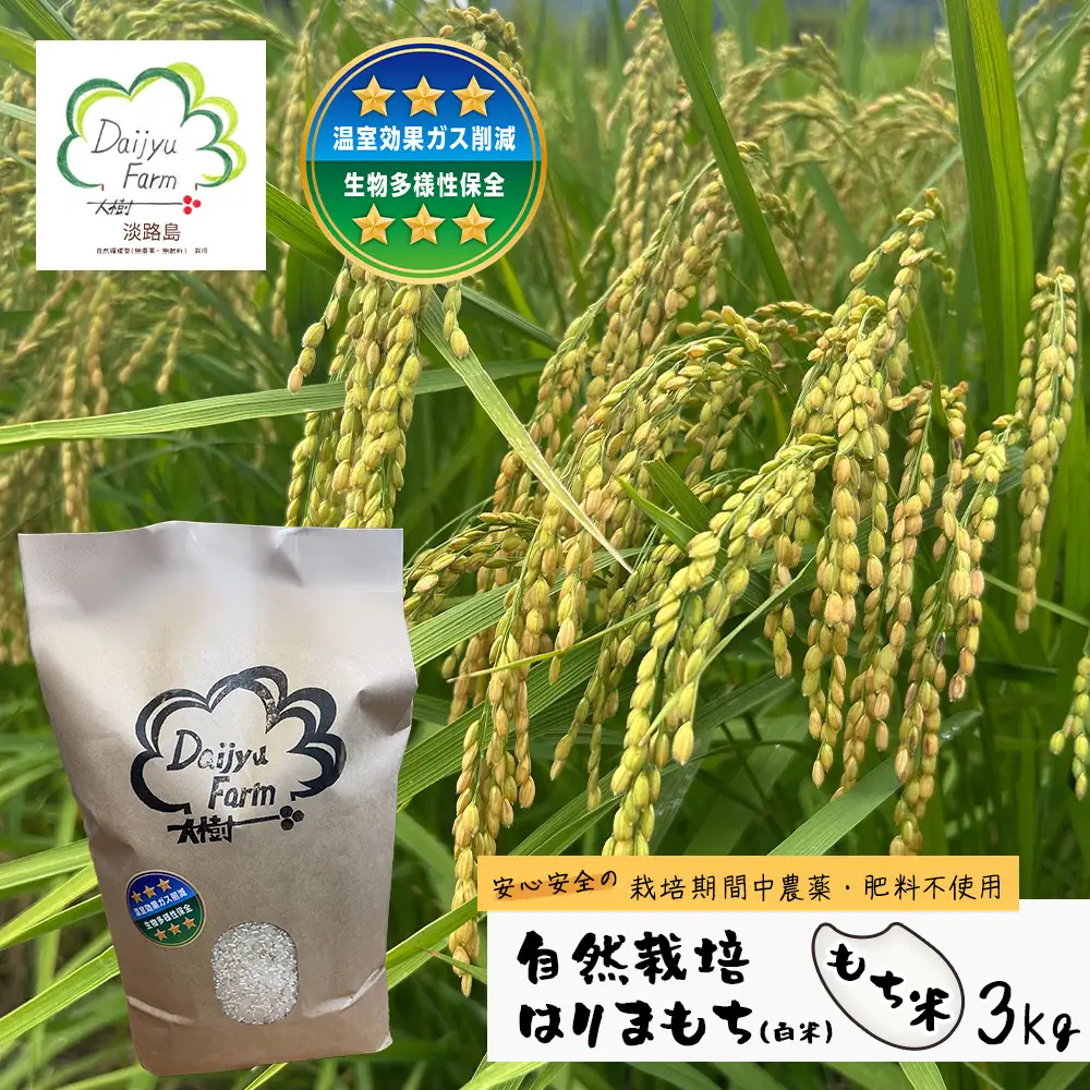自然栽培もち米　はりまもち（白米）　3kg