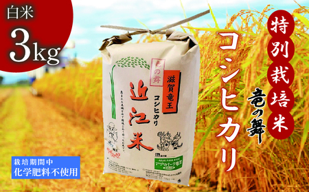 米 こしひかり 白米 3kg 2025年産 特別栽培米