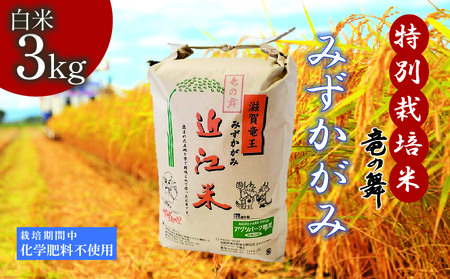 みずかがみ 白米 3kg 2025年産 竜の舞 化学肥料不使用 特別栽培米 国産 安心 安全 近江米 米 お米 白米 お弁当 玄米 産地直送 滋賀県 竜王町 送料無料