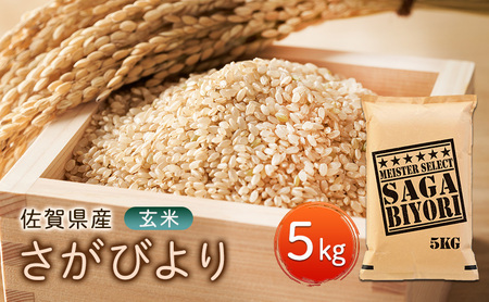 玄米 さがびより 5kg 五つ星お米マイスター厳選！ 米 お米 ※配送不可：離島