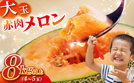 SB0843　大玉赤肉メロン　8kg以上(4～5玉入) つる無し