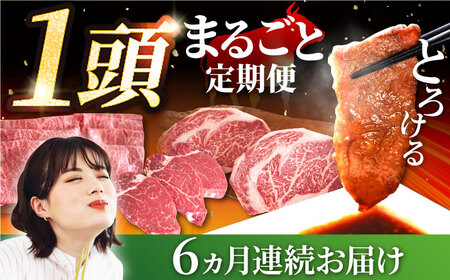 【6回定期便】牛肉 1頭まるごと定期便 / 牛肉 定期便 IAH032