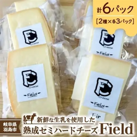 セミハードチーズ　Field　2種セット【配送不可地域：離島】【1692094】