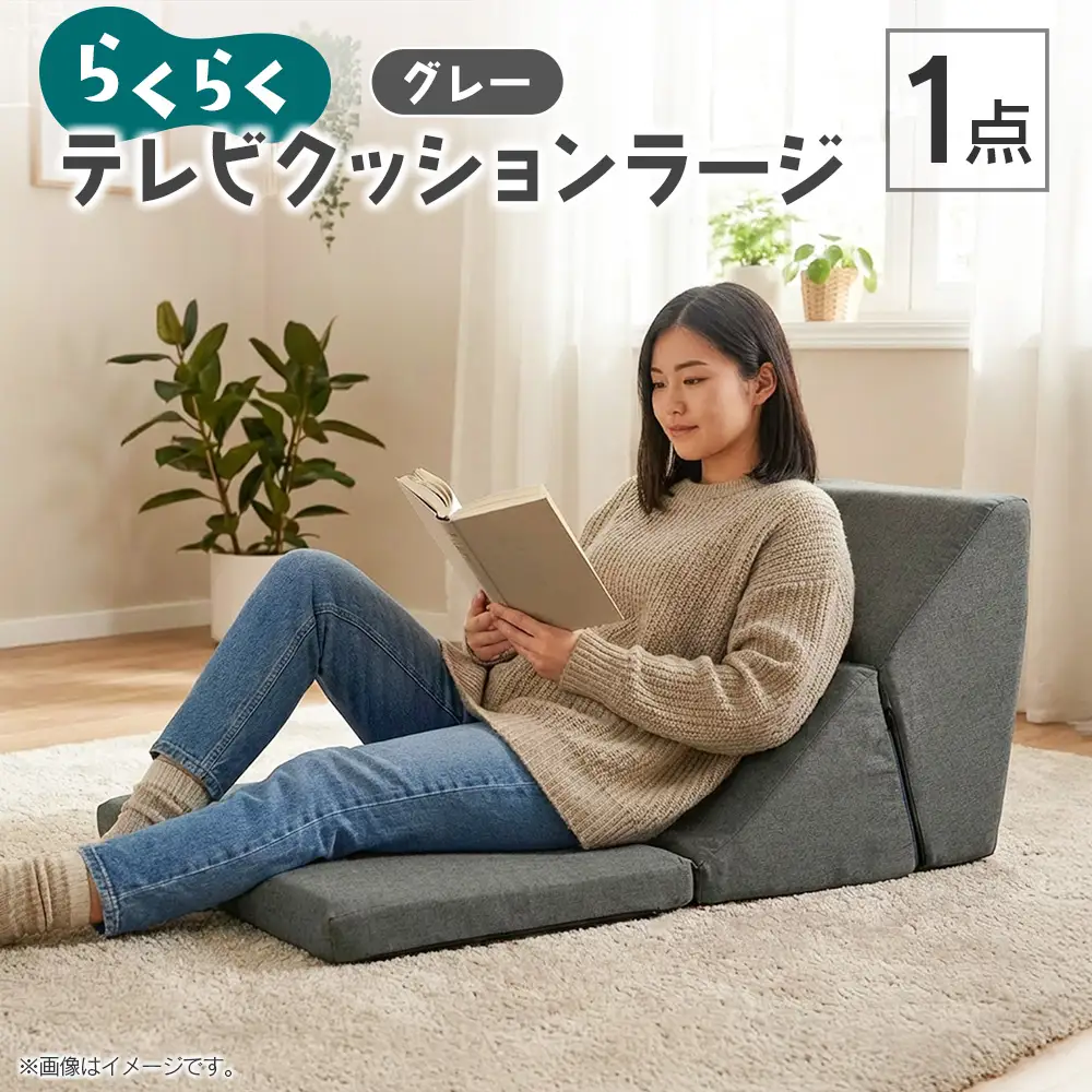 らくらくテレビクッションラージ（グレー）_NI040_033