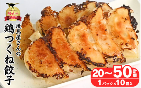 焼鳥屋さんの鶏つくね餃子　10個入り　5パック　［A-084004］