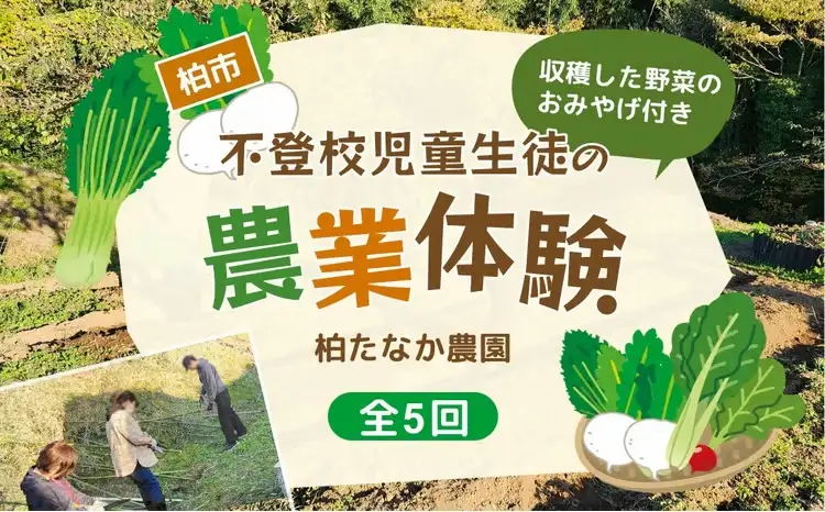 不登校児童生徒の農業体験（5回） 〈 学び 食育 収穫体験 農業体験 体験 収穫 野菜 子供 親子 農作物 ふるさと納税 柏 〉