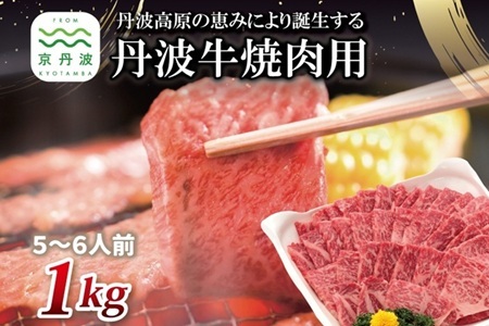 【京丹波・丹波牛】 丹波牛 焼肉用 1kg 5～6人前 【 黒毛和牛 国産牛 焼肉 丹波牛 赤身 霜降り 焼肉のタレ付き たれ 京都 丹波 いづつ屋 】 【2026年1月中旬以降発送】 [048IZ001]