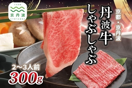 【京丹波・丹波牛】 丹波牛 しゃぶしゃぶ用 300g 2～3人前 【 黒毛和牛 国産牛 しゃぶしゃぶ お鍋 丹波牛 赤身 霜降り 黒豆ポン酢付き ぽん酢 京都 丹波 いづつ屋 】【2026年1月中旬以降発送】 [015IZ004]