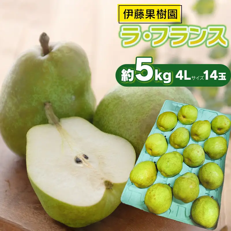 【令和8年産先行予約】ラ・フランス（洋梨） 4Lサイズ 約5kg (14玉)　伊藤果樹園