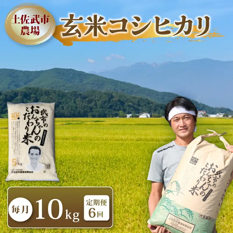 定期便 令和7年度産 【6回定期便】 玄米 コシヒカリ 10㎏  