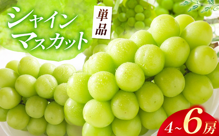 【先行予約】 シャインマスカット 4～6房入り ( 2kg以上 ) | フルーツ 果物 ぶどう 大分県 中津市