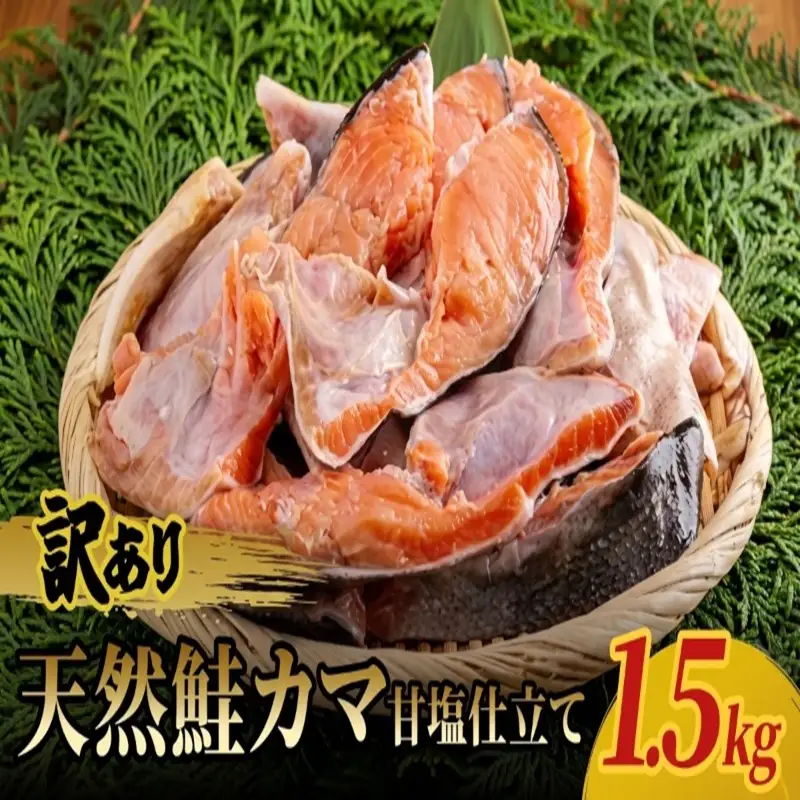訳あり天然鮭カマ甘塩仕立て 1.5kg AH040 | 鮭 カマ