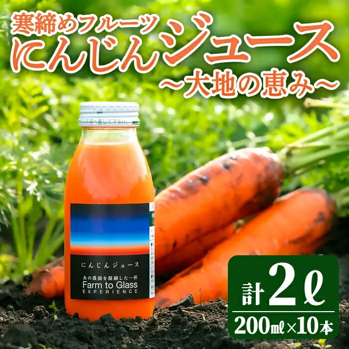 寒締めフルーツ にんじんジュース ～大地の恵み～ 200ml 10本入り ニンジン にんじん 有機野菜 有機 オーガニック JAS ジュース 常温 常温保存 贈答 ギフト 詰め合わせ 【株式会社レインボーフューチャー】【ho1605】
